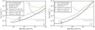 Constraints on Dark Matter with Gamma-Ray Experiments and Future Observational Strategies